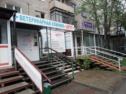 Ветклиника пермь