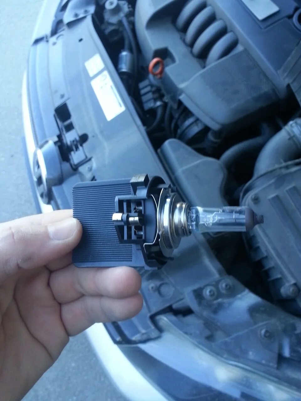 Поменять лампочку в гольфе. Цоколь лампочки ближнего света volkswagen 6. Поменять лампочку в гольфе. Лампа ближний свет гольф 7. Лампы ближнего света н7 фольксваген.