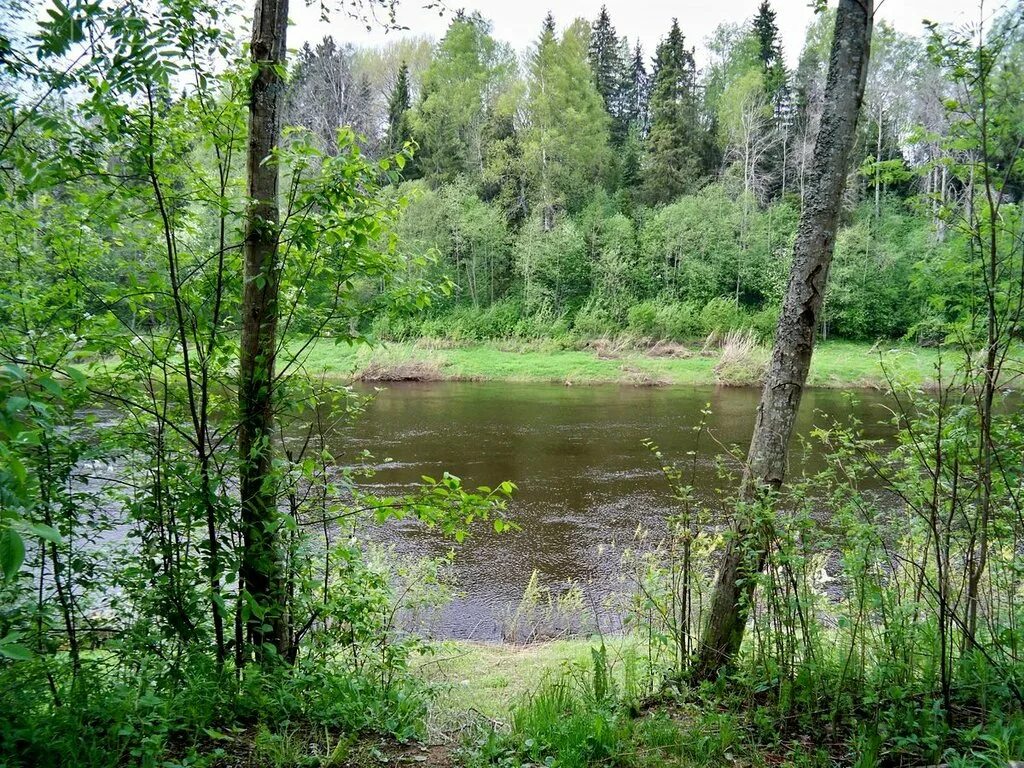 1 речка 10. река 2 гуселка саратов. речка в стороне новоганска. первые реки.