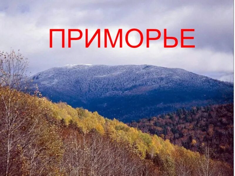 Приморье описание. Приморье надпись. презентация по географии 8 класс. приморский край надпись. приморье презентация 8 класс.