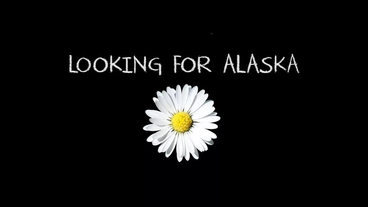 В поисках Аляски. Впоисках Аляскт. Напдписьв поисках Аляскм. Цитаты из аляски