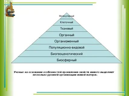 Клеточный тканевый организменный