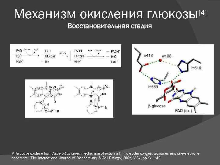 Механизм окисления Глюкозы. Механизм окисления Глюкозы реакция. Окисление Глюкозы реакция. Механизм реакции окисления. Окисление глюкозы кислородом реакция