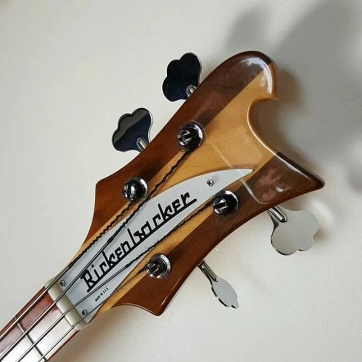 Rickenbacker Bass 4001. Rickenbacker 4001 колки. Rickenbacker 330 Guitar White. Rickenbacker Bass SG.