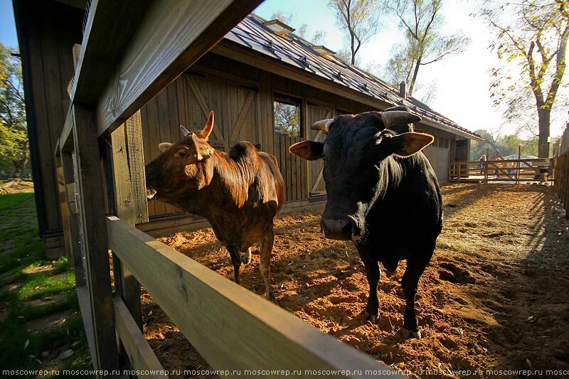 сельский репортаж