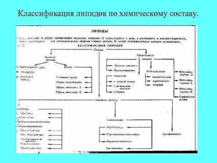 Хим состав липидов