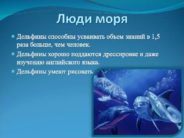 Проект 3 класс люди и дельфины Дельфины люди моря проект