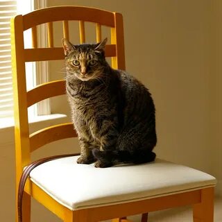 Near the chair