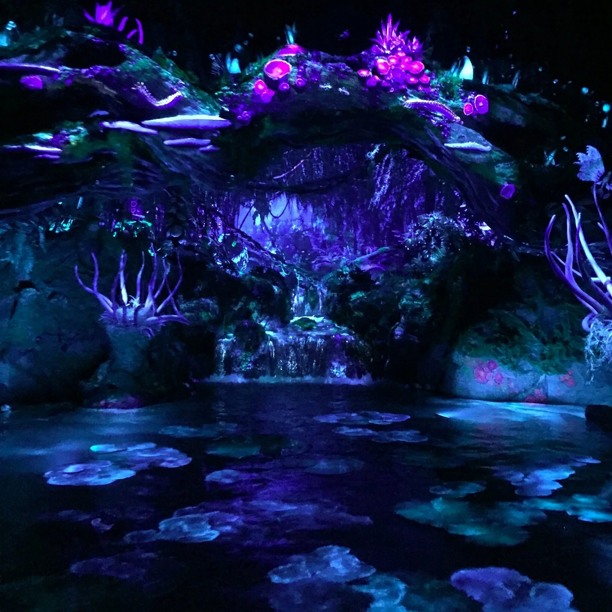 Pandora the packwyrm. Пандора сага легаси. Волшебный лес пандоры большой размер. Avatar frontiers of pandora дата. Пандора планета эйва.