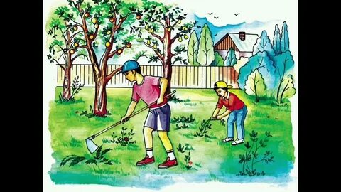 Влости киски