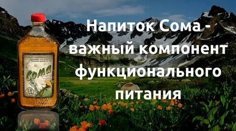 Напиток богов