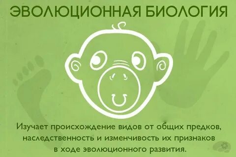 Эволюционная биология науки изучает