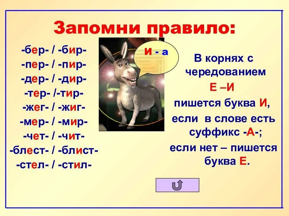 Стоит бер