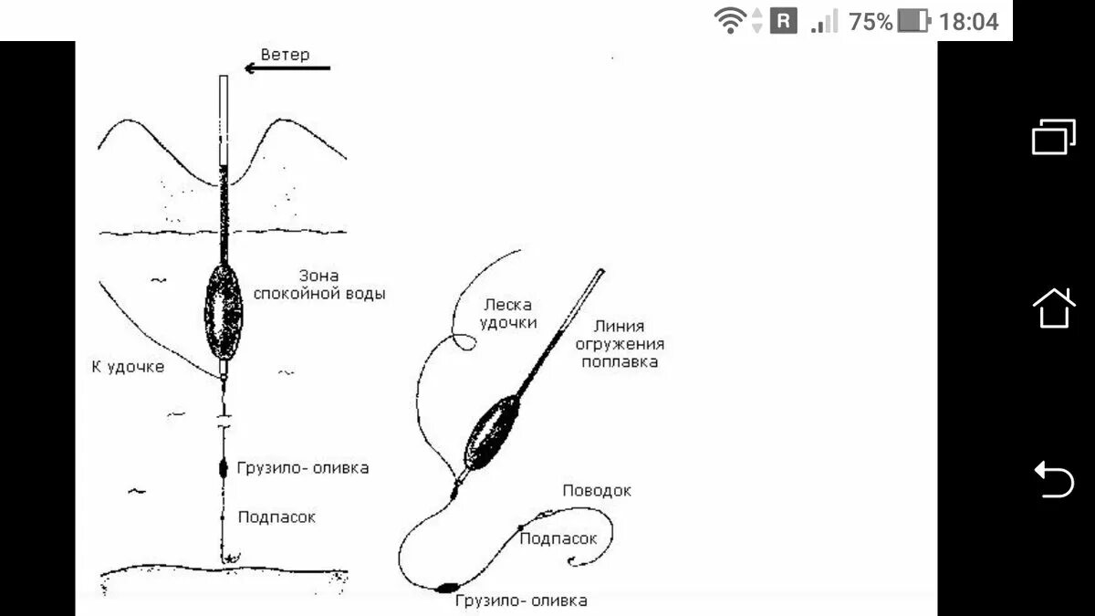 Как снарядить поплавочную удочку для ловли карася. Схема оснастки поплавочной удочки с двумя крючками. Крючок грузило поплавок схема. Правильная поплавочная снасть на карася схема. Правильная удочка для ловли