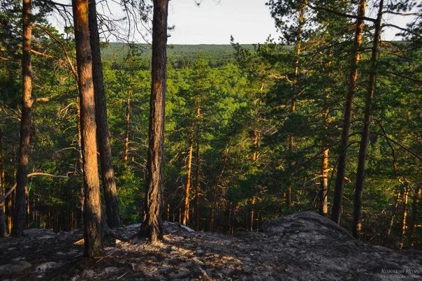 Пос передовой. Передовой Самарская. Красивые места Самарской области. Поселок передовой. Посёлок Колоткино.