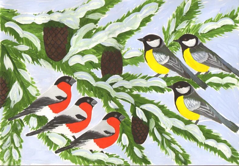 Птички класс. Рисование зимующие птицы. Зимующие птицы рисунок. Рисование с детьми зимующие птицы. Рисунок на тему зимующие птицы.