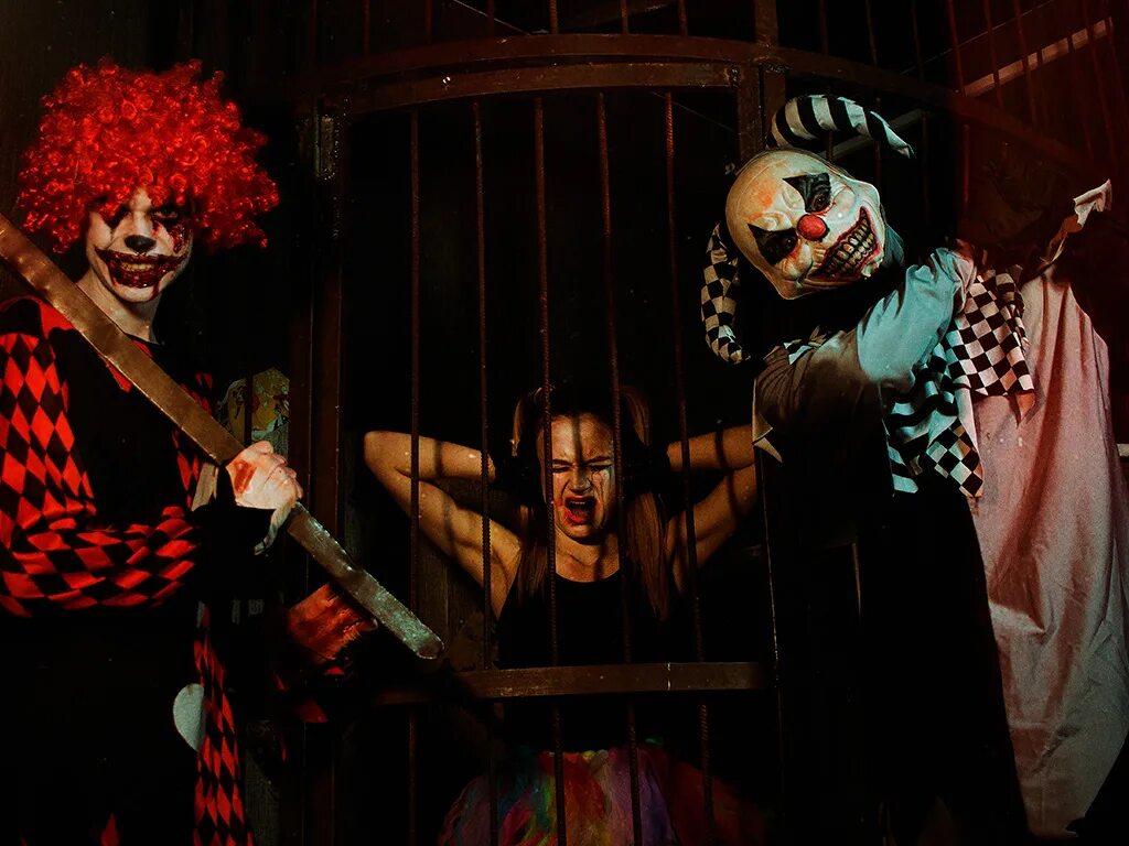 Британский цирк ужасов. Квесты ярославль страшные цирк ужасов. Цирк ужасов квест иваново элизиум. Цирк ужасов квест пермь. Цирк ужасов.