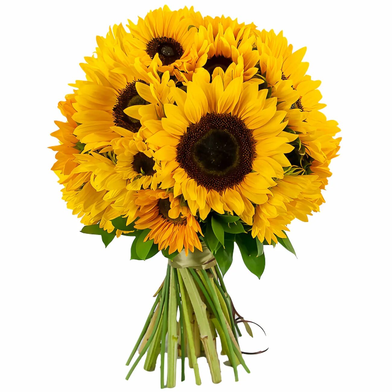 Букет "подсолнух и ирис". Гелиантус букет. Букет с подсолнухами. Гелиантус букет. Букет с подсолнухами.