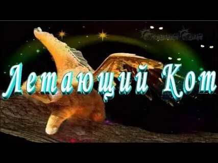 Чудо кот слушать