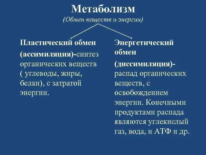 Органические вещества при пластическом обмене