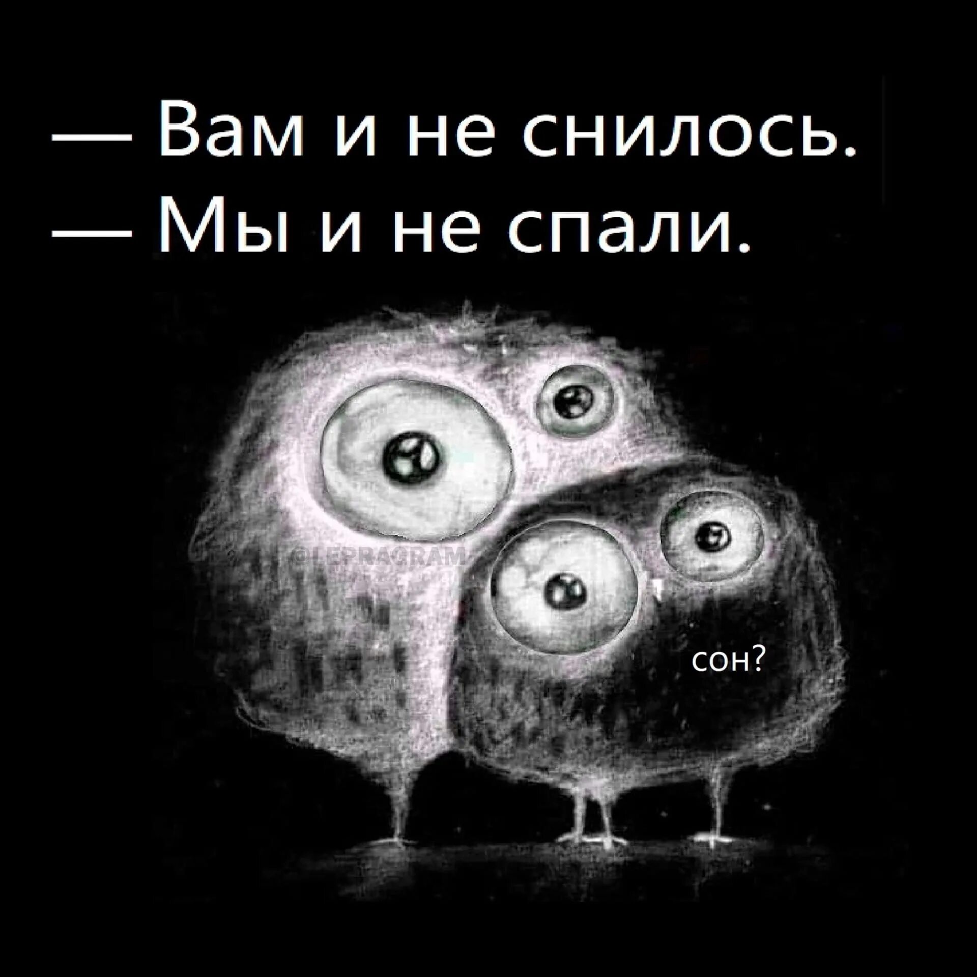 Не спится картинки. Вам и не снилось мы и не спали. Вам и не снилось мы и не спали Совы. Картинки не спать прикольные. Этой ночью я не спал друзья песня