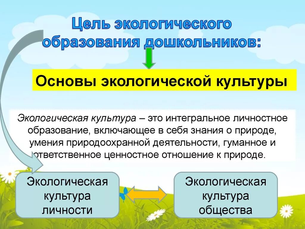 Экологическое общество цель. Экологическое образование дошкольников. Основы экологического образования дошкольников. Принципы формирования экологической культуры. Экологическая культура.