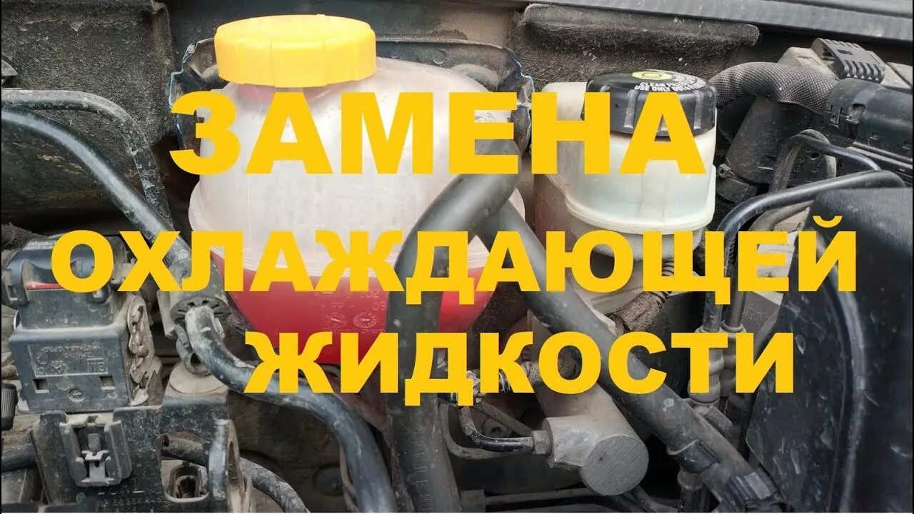 Как выгнать антифриз из системы. Слить антифриз опель вектра с. пробка сливная антифриза опель зафира б. замена антифриза опель зафира б 1.8. бачок антифриза портер 1 где находится.