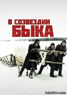 В созвездии быка 2003