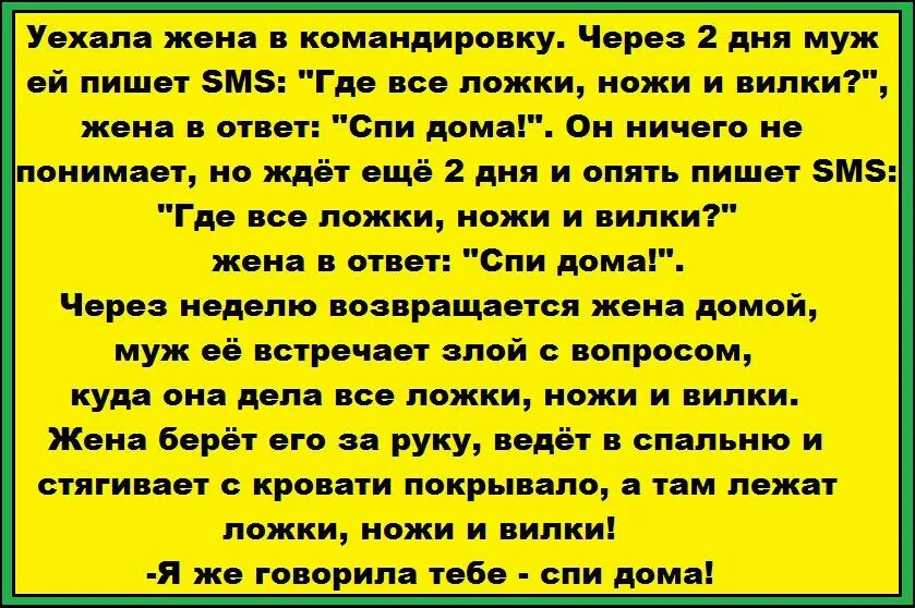 Когда муж был в командировке жена. Спи дома анекдот. Анекдоты про домашних. Жена уехала в командировку. Анекдот жена в командировке.