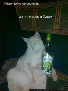 Вам на воле не понять