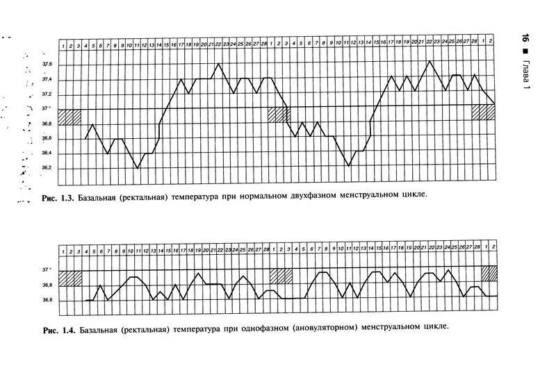 Норма ректально. Ановуляторный цикл график. Ановуляторный график базальной температуры. Двухфазный график базальной температуры. График базальной температуры при однофазном цикле.