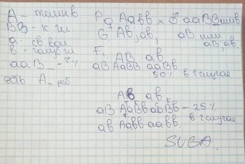 В брак вступают голубоглазая