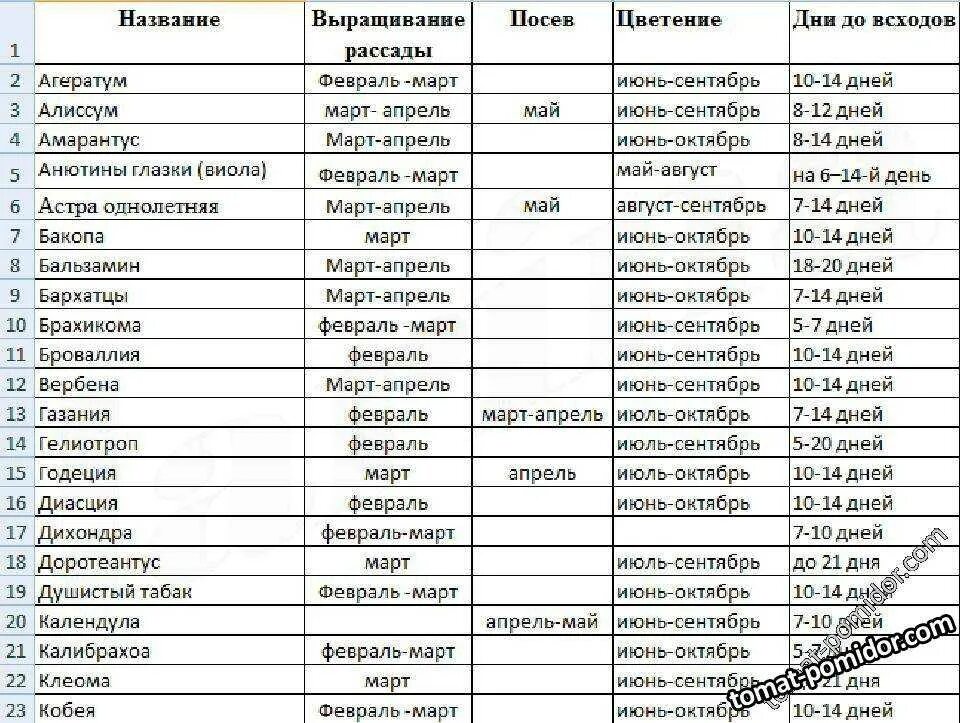 Через сколько дней будет 4 мая. Посадка рассады однолетников в открытый грунт. Сроки посадки однолетников на рассаду таблица. Таблица высадки семян на рассаду цветы. Когда сажать семена в грунт таблица.