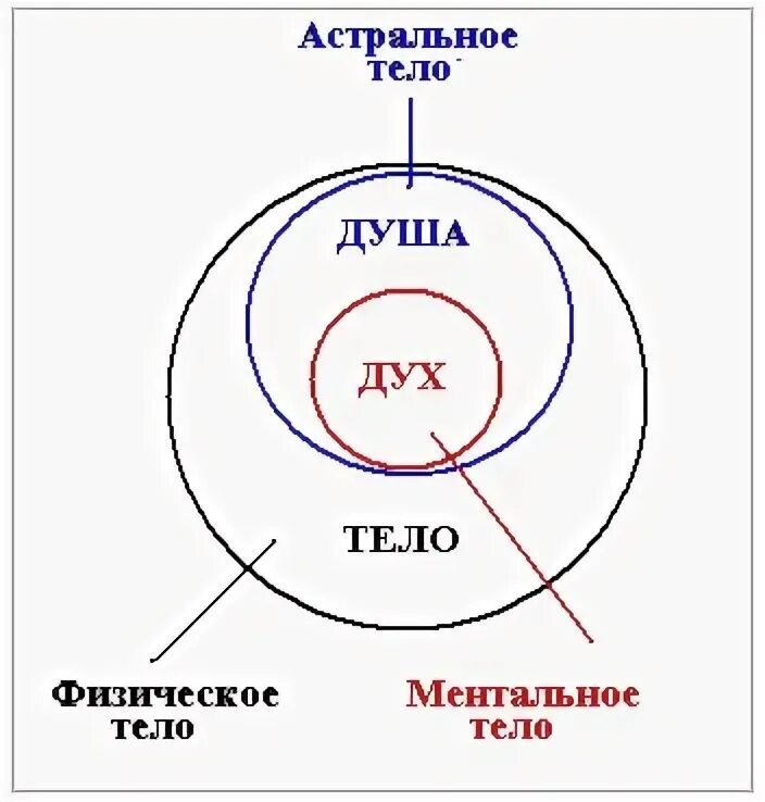 Триединство человека дух душа и тело. Дух душа и тело схема. Дух душа тело философия. Дух душа и физическое тело.