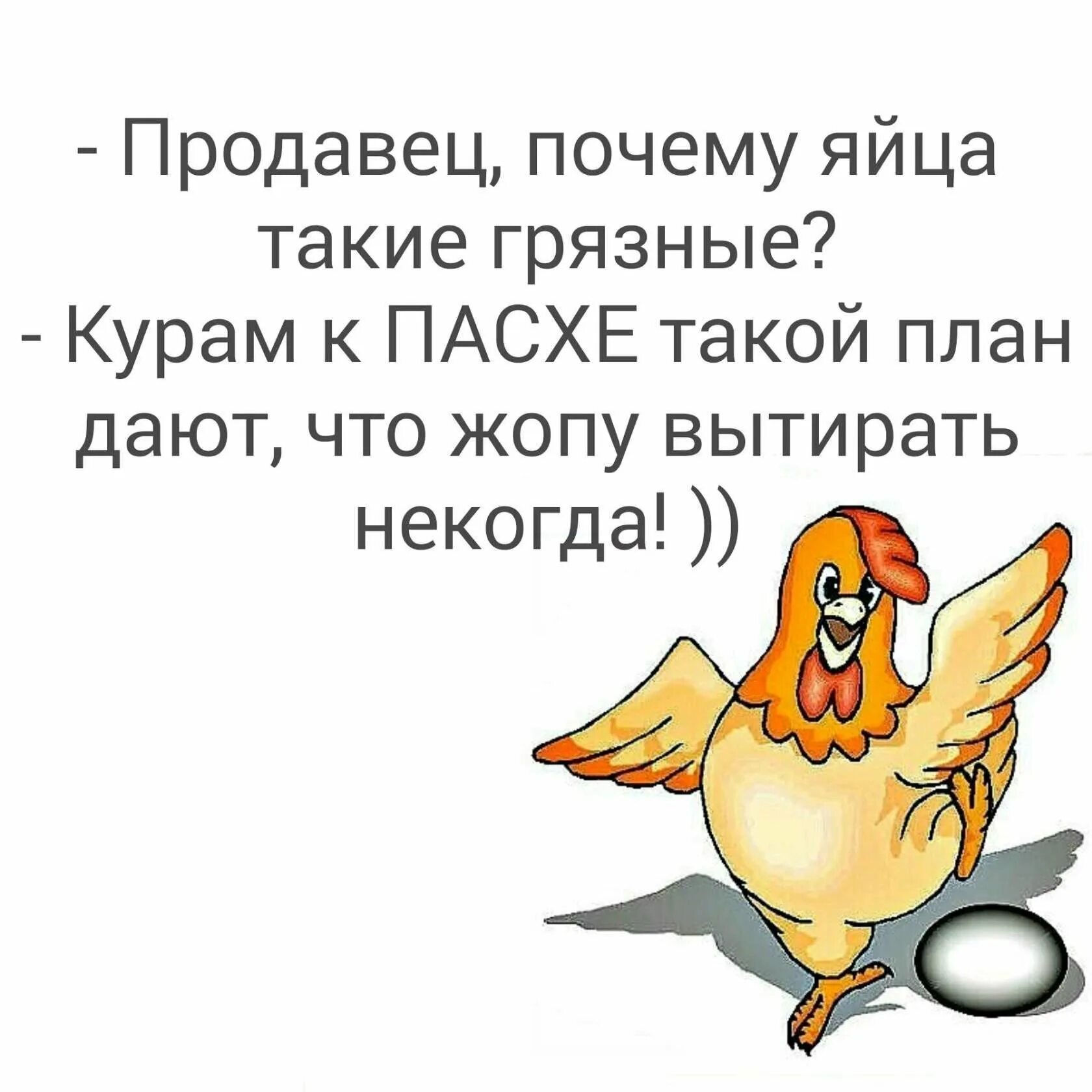 Читать здравствуй курица. Шутки про яйца. Анекдоты про яйца смешные. Анекдоты про Пасху. Анекдоты про Пасху смешные.