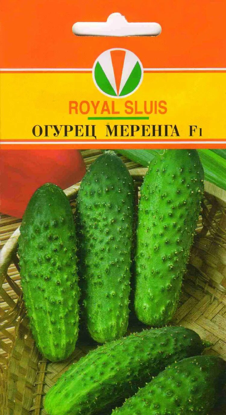 Огурец меренга f1. Семена огурцов меренга f1. Семена огурец меренга f1. Огурец меренга f1 10шт/10.