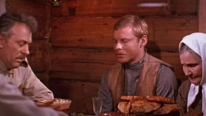 Соломин даурия. Соломин даурия. Соломин даурия. Соломин даурия. Соломин даурия.