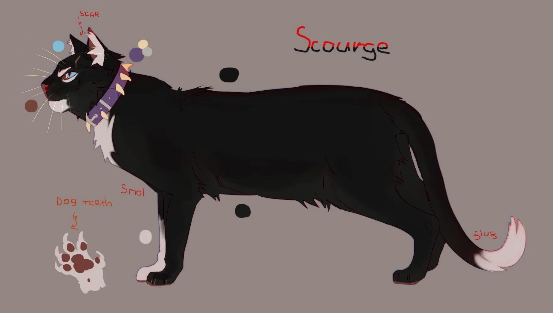 Коты воители энки айла и айки. Коты воители карта территорий. Коты воители карта территорий всех племён. Коты воители карта. Карта warrior cats: ultimate edition.