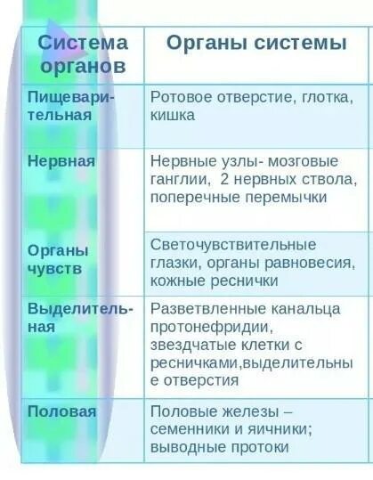 Картинки ОТДЕЛЫ ДЫХАТЕЛЬНОЙ СИСТЕМЫ ТАБЛИЦА
