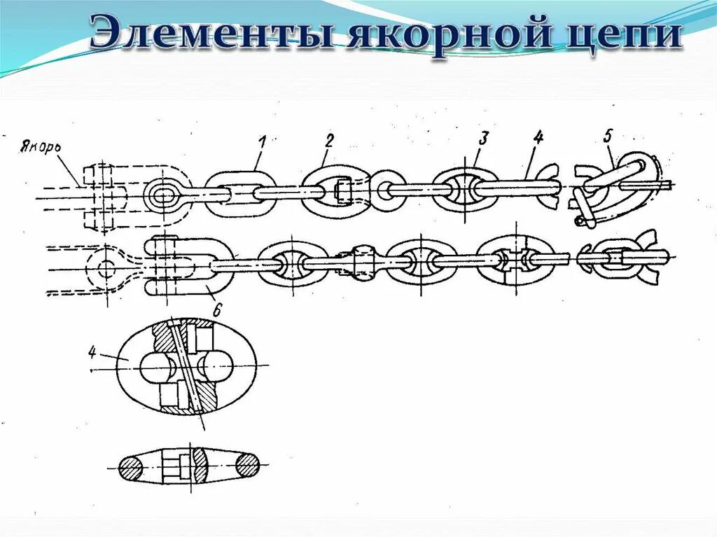 Цепочка состоит из четырех