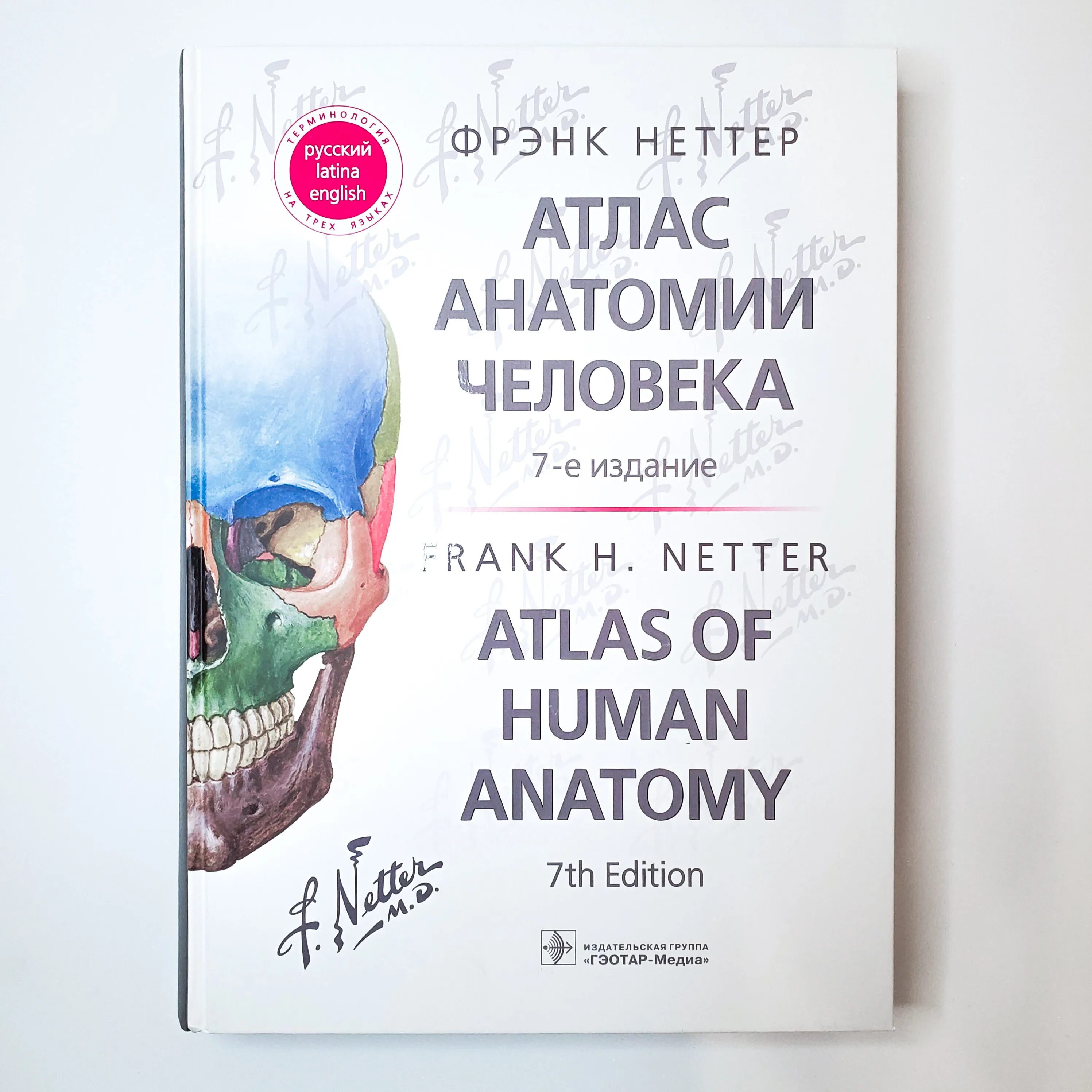 Фрэнк неттер атлас. Фрэнк Неттер анатомия. Фрэнк Неттер атлас анатомии человека. Атлас Неттера 7 издание.