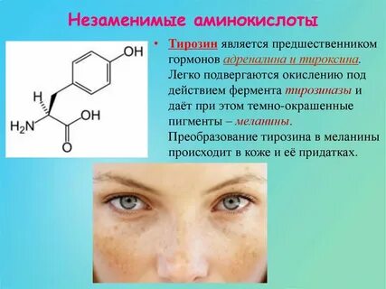 Тирозин биологическая роль