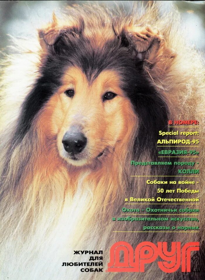 Сайт журнала друг. Журнал друг. Журнал друг для любителей собак. Журнал друг собак старые. Журналы про друга человек.