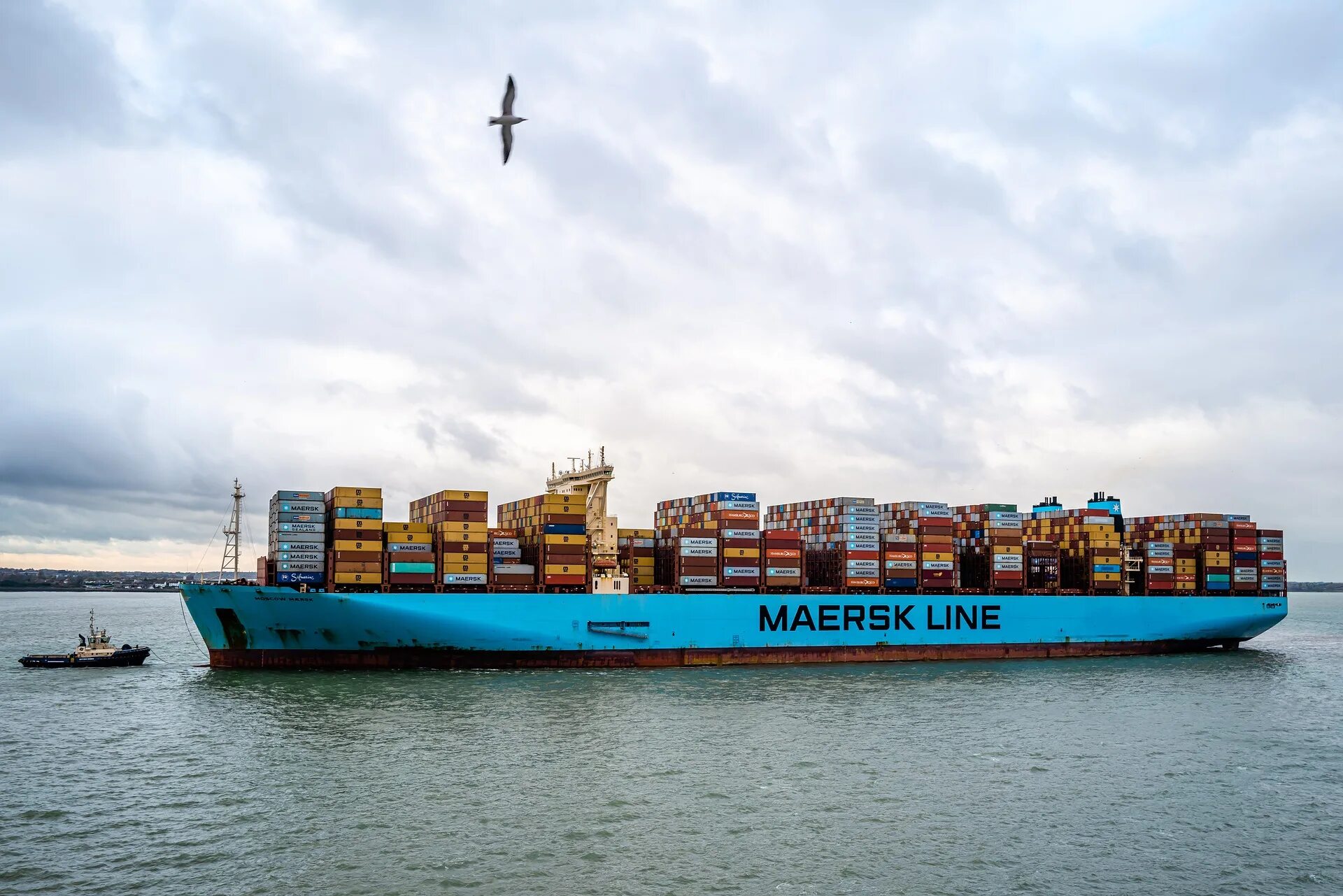 Maersk container track. Морской контейнер маерск. контейнеровоз морской маерск. маерск перевозчик. maersk новороссийск.