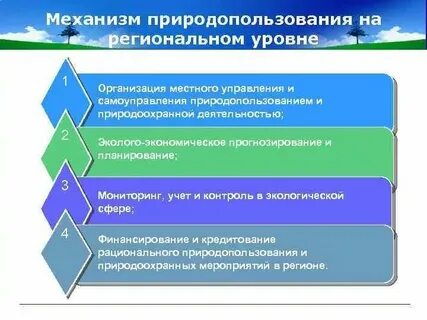 Проблемы местного уровня