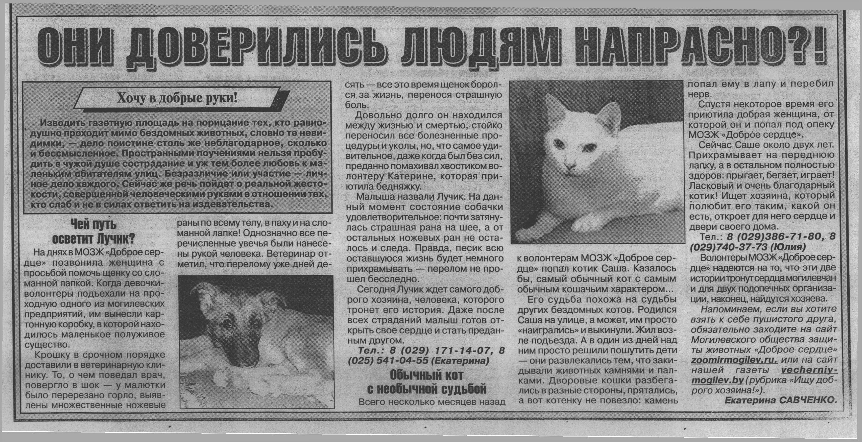 Статьи на любые темы. Статьи на любые темы. Напишу статью на заказ. Статьи на любые темы. Обложка для статьи.