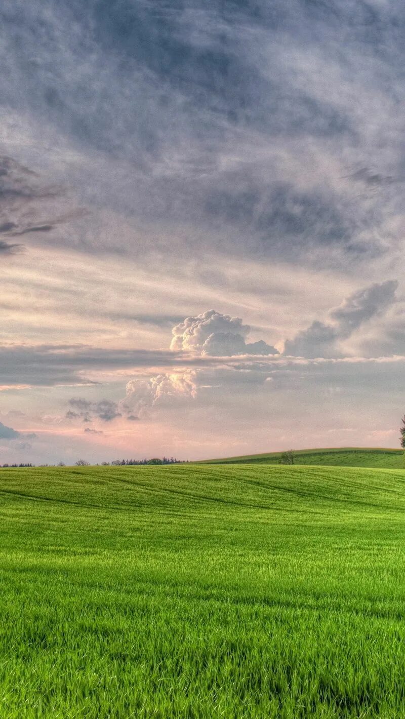 Красивая ширь. Панорама природа. Красивая ширь. Пейзаж. Русское поле.