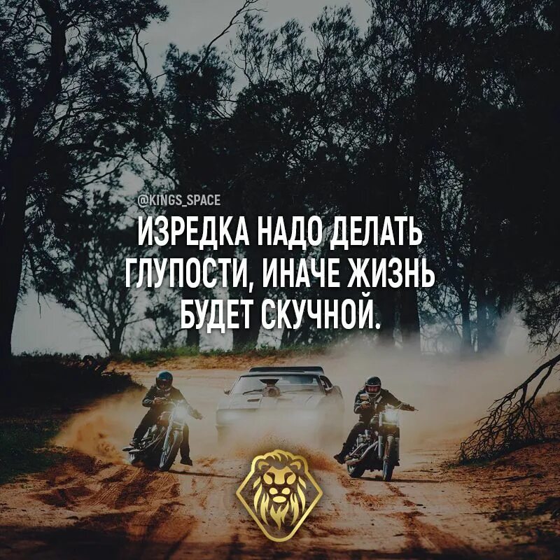 Изредка раздаваться. Изредка надо делать глупости иначе жизнь. глупости жизни. делать глупости. иногда надо делать глупости иначе жизнь будет скучной.