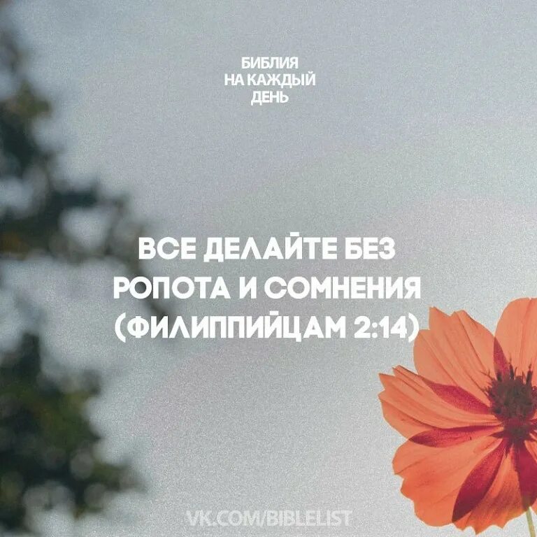 Цитаты из библии. Библейские высказывания на каждый день. стихи из библии на каждый день. цитаты из библии на каждый день. библия цитаты.