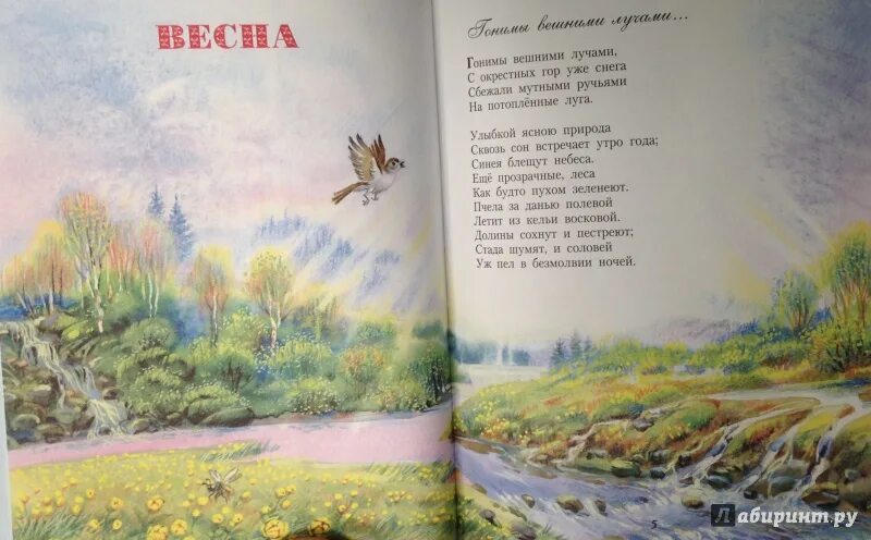 Стихи Пушкина для детей. Стихи Пушкина о природе. Пушкин сборник стихов о природе. Сборник стихов Пушкина о природе.